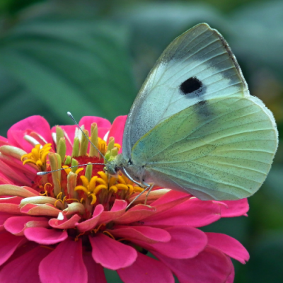 Transformation Klang, Farbe und ganzheitliche Energiearbeit in Rosenheim.